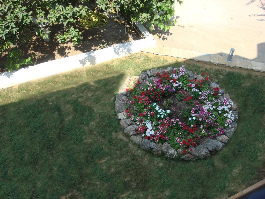 Aspa'S Apartments Dassia (Corfu) Exterior photo